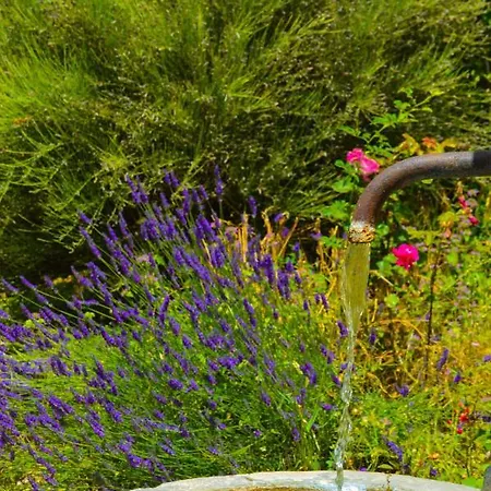 La Bastide Du Claus - Vitaverde Guest house Cruis