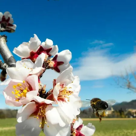 La Bastide Du Claus - Vitaverde Guest house 4*