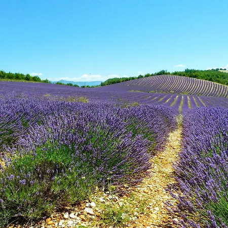 La Bastide Du Claus - Vitaverde 4* Cruis