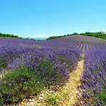 La Bastide Du Claus - Vitaverde 4* Cruis