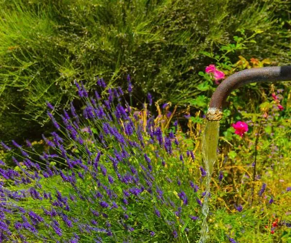 La Bastide Du Claus - Vitaverde Guest house Cruis