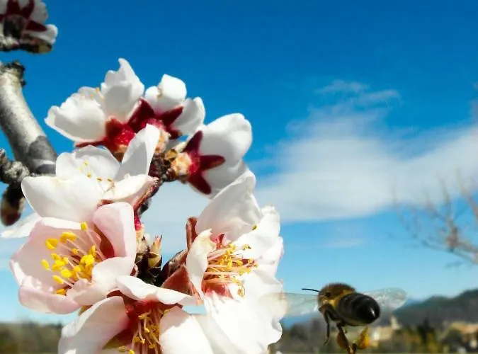 La Bastide Du Claus - Vitaverde Guest house 4*