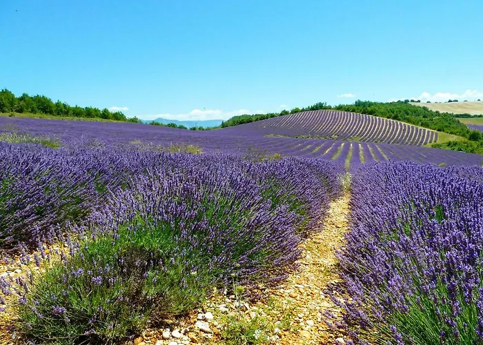 La Bastide Du Claus - Vitaverde 4* Cruis